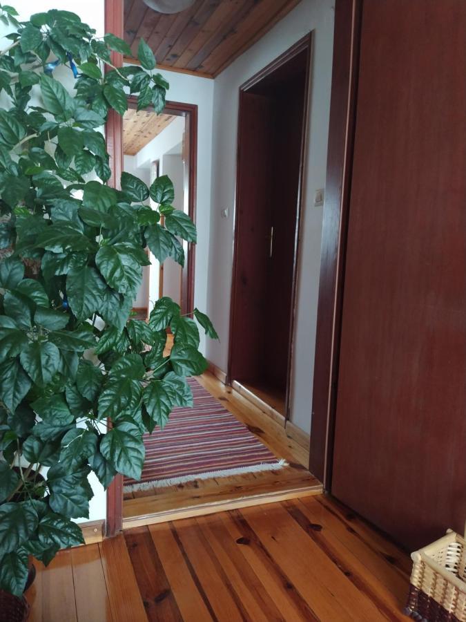 Apartmani Milic Sirogojno Bagian luar foto