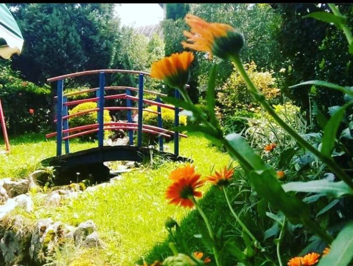Apartmani Milic Sirogojno Bagian luar foto
