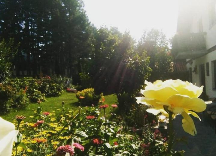 Apartmani Milic Sirogojno Bagian luar foto