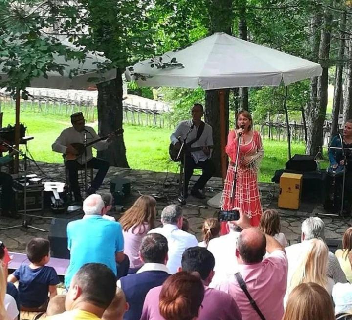 Apartmani Milic Sirogojno Bagian luar foto