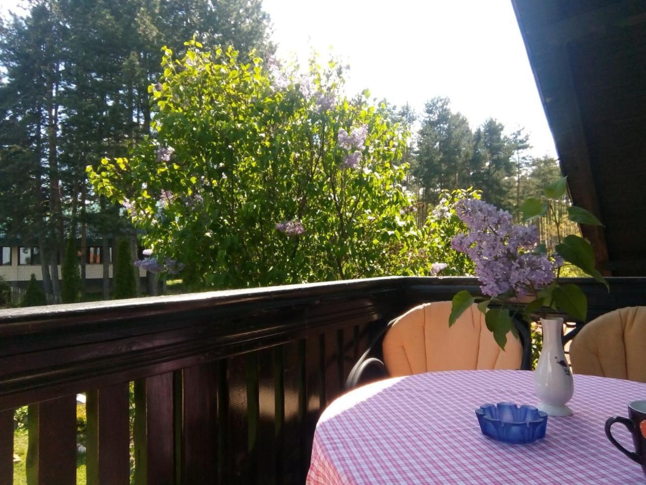Apartmani Milic Sirogojno Bagian luar foto