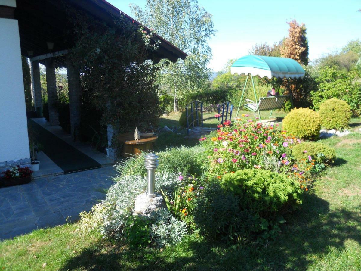 Apartmani Milic Sirogojno Bagian luar foto