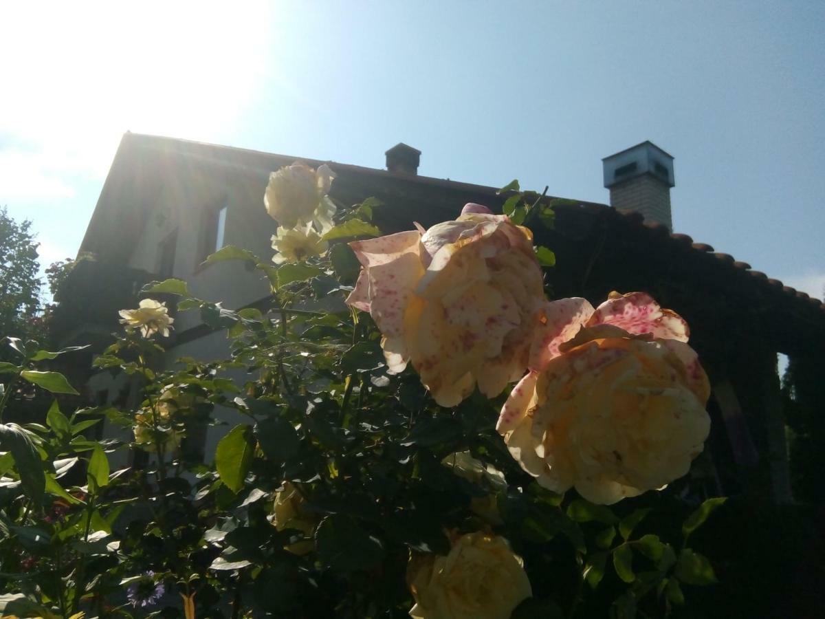 Apartmani Milic Sirogojno Bagian luar foto