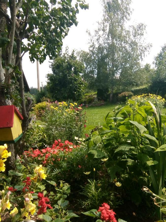 Apartmani Milic Sirogojno Bagian luar foto
