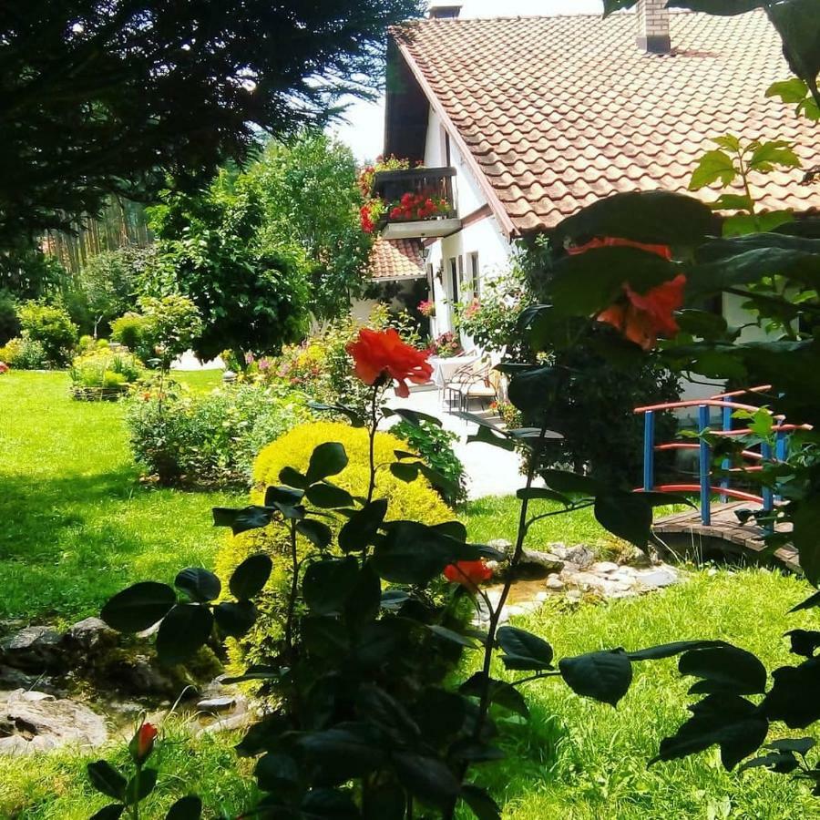 Apartmani Milic Sirogojno Bagian luar foto