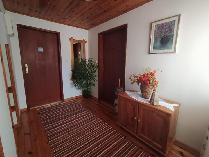 Apartmani Milic Sirogojno Bagian luar foto